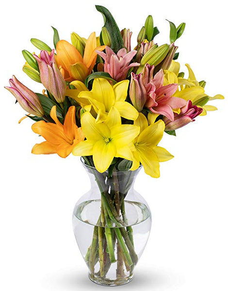 Benchmark Bouquets 12 Stem Assorted