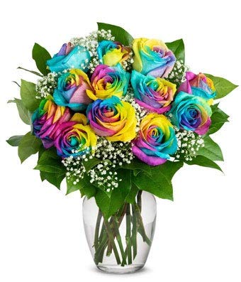 One Dozen Wild Rainbow Roses